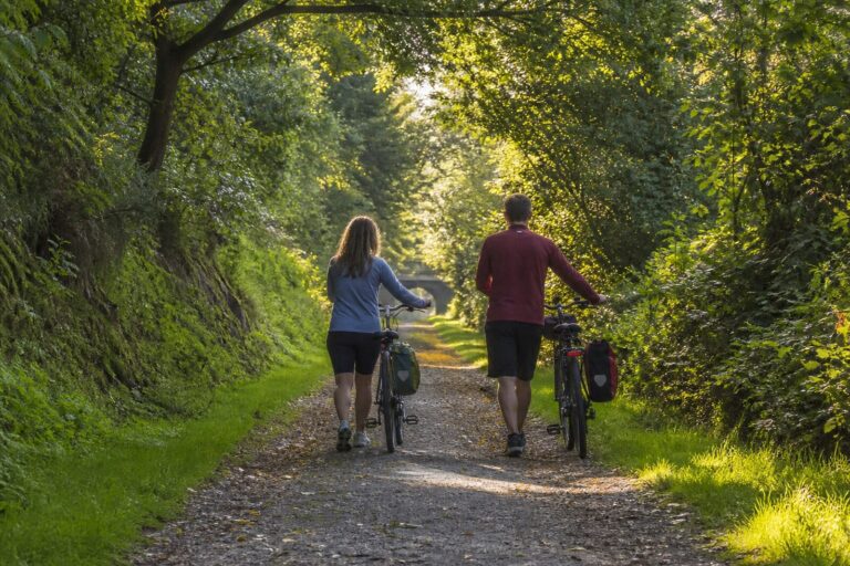 Walkers and cyclists on the Derwent Walk